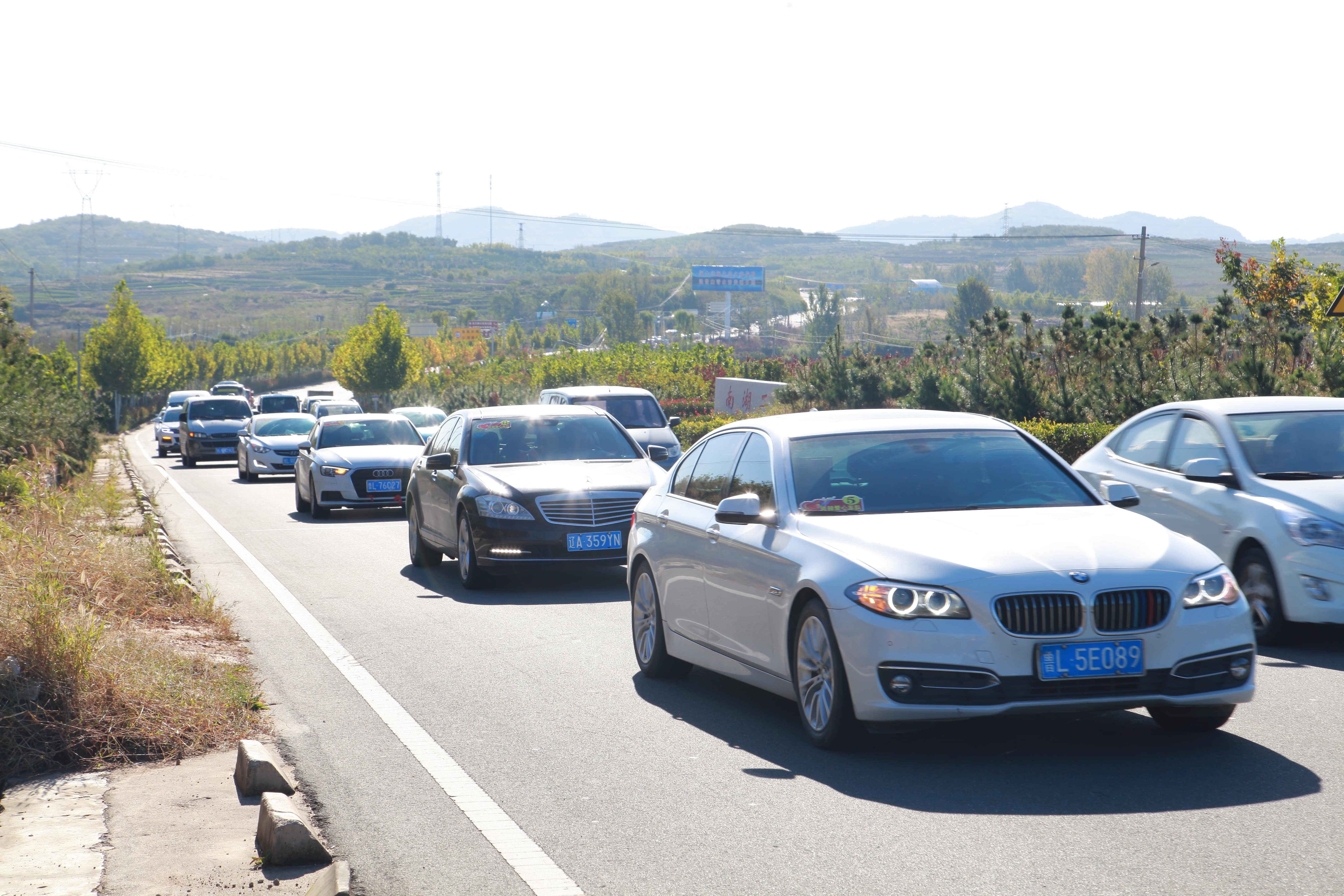 第177所 日照市东港区陈疃镇东辰押球官方网站刘丽新小学