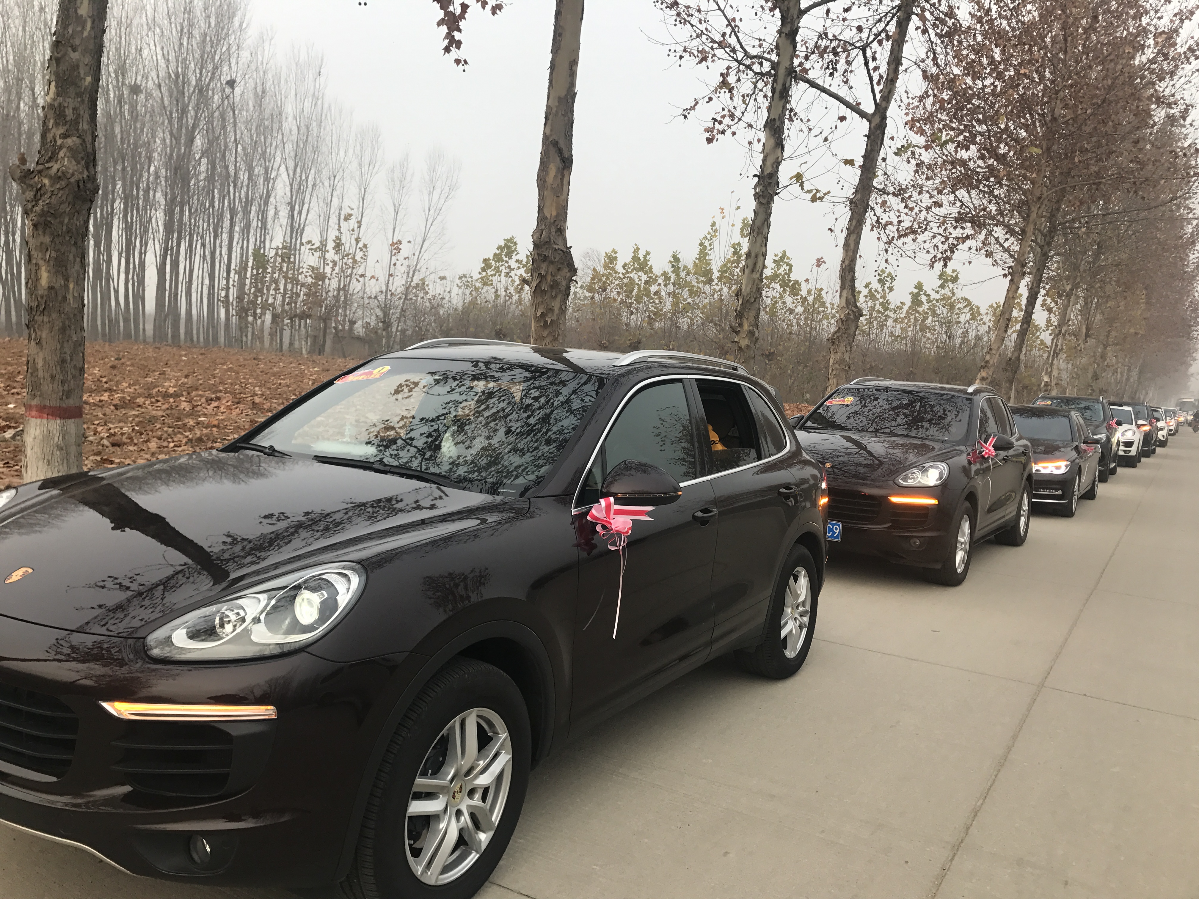 第183所 泰安市岱岳区良庄镇押球官方网站李娜小学