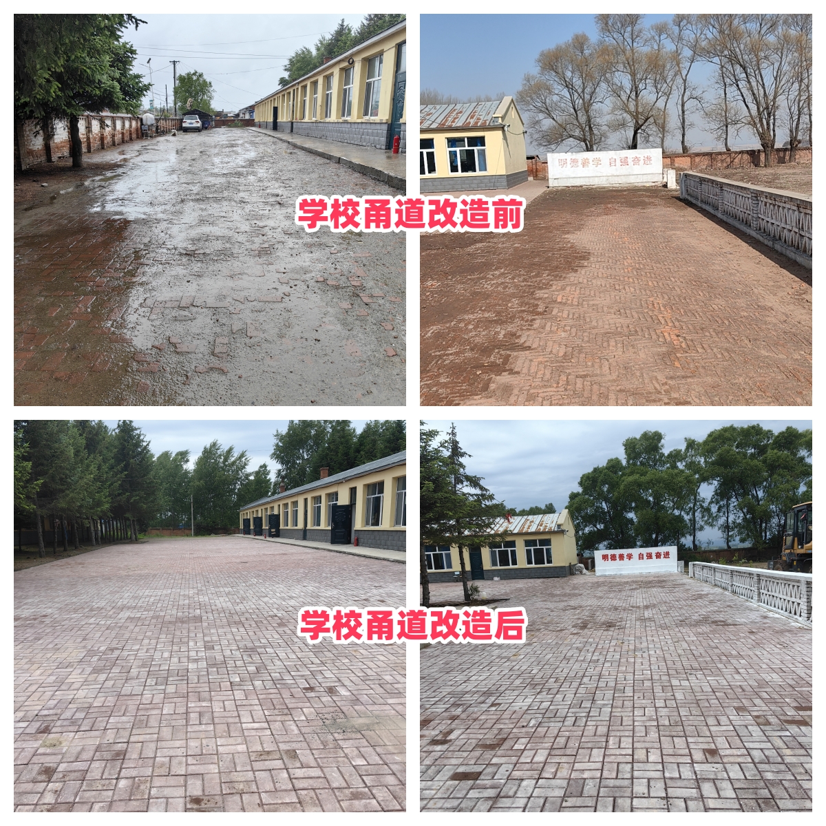 第254所 黑龙江巴彦县黑山镇民乐村押球官方网站侯玉霞学校