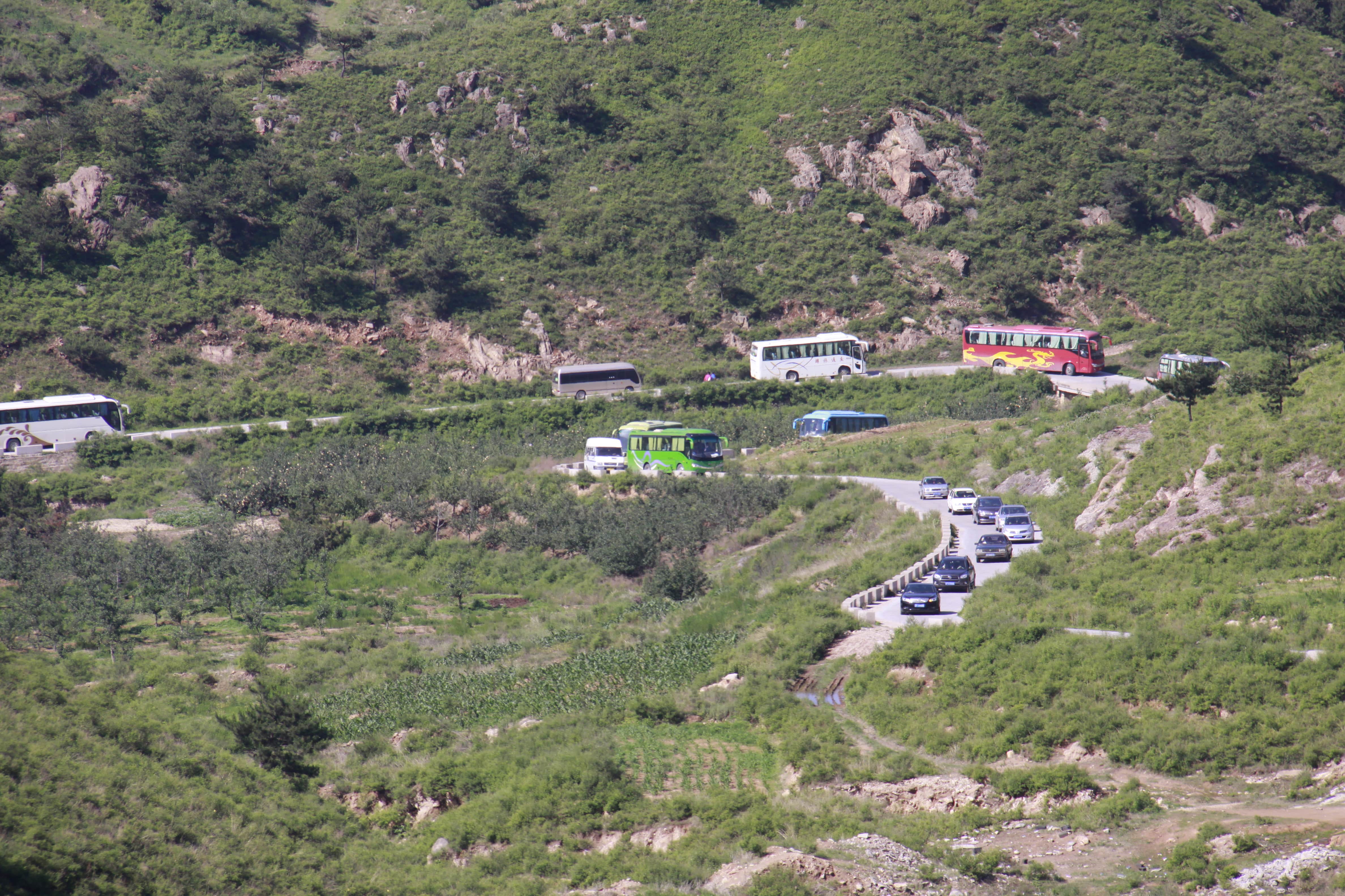 第26所 葫芦岛市永安堡乡押球官方网站张越小学