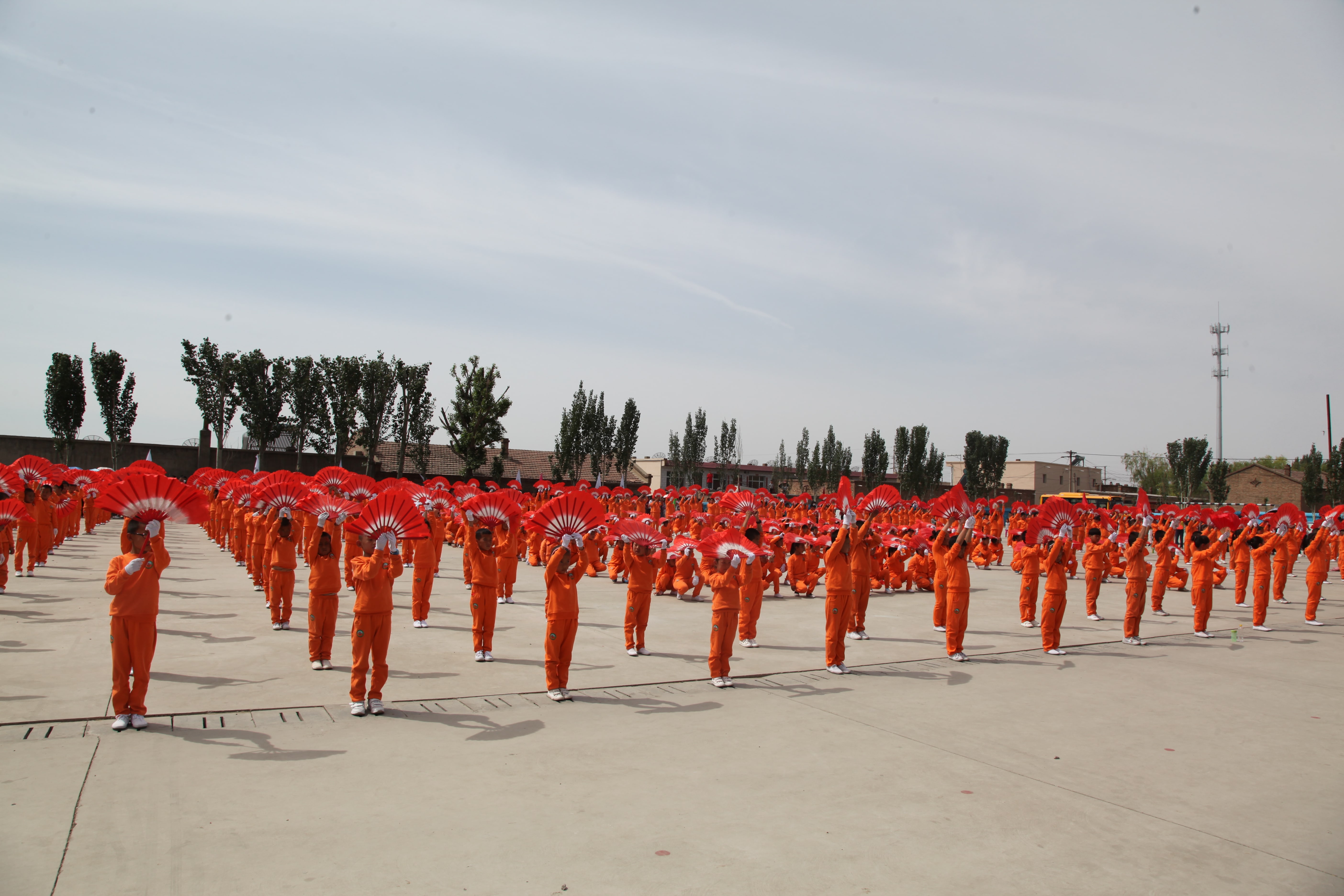 第48所 包头市九原区押球官方网站董丽萍麻池中心校 第48所 包头市九原区押球官方网站董丽萍麻池中心校